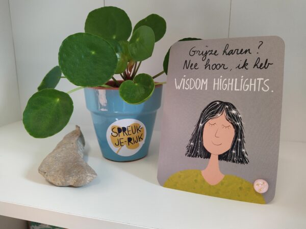 Spreuk-kaart ' Grijze haren? Nee hoor, ik heb wisdom highlights.