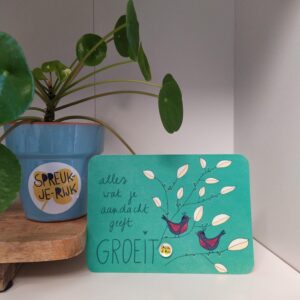 Spreuk-kaart: Alles wat je aandacht geeft, groeit.