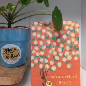Spreuk-kaart: Maak alles vast met GENIET-JES